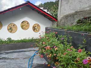 ��������