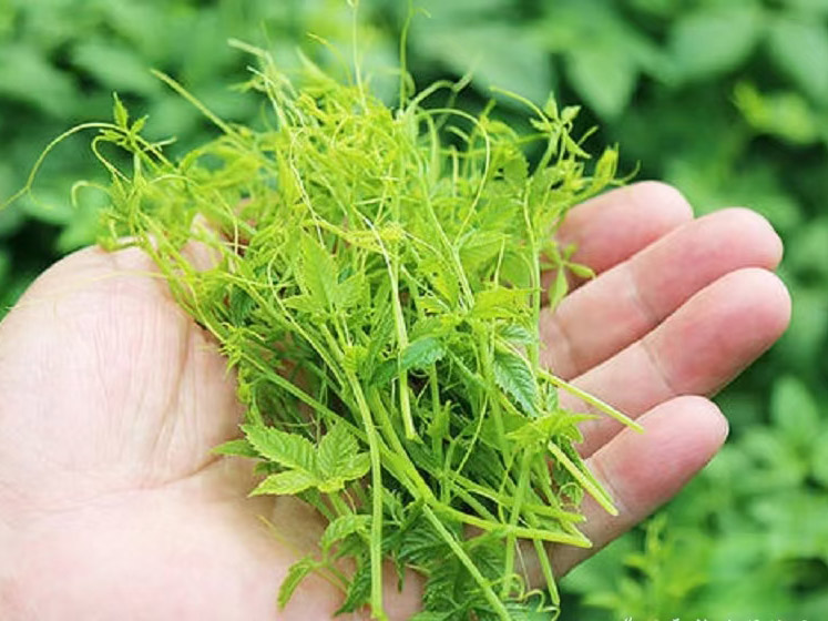 ƽ���ʹ���